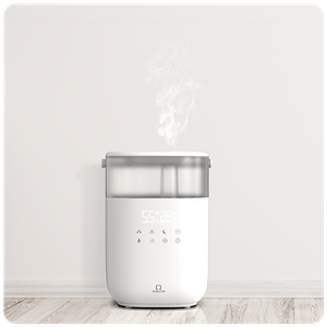 Humidifier for Winter