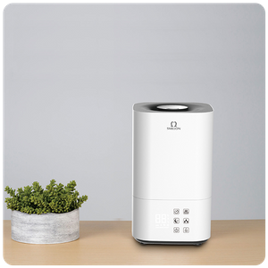 Warm and Cool Mist Humidifier